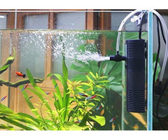 Choose the Right Fish Tank Filter | free-classifieds-canada.com - 1