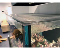 The Importance Of An Aquarium Lid In Aquascaping | free-classifieds-canada.com - 1