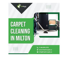 Best Quality Right Carpet Cleaning Milton by Fresh Maple | free-classifieds-canada.com - 1