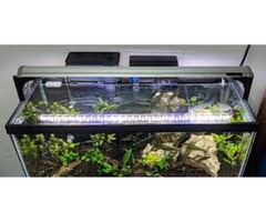 The Importance, Benefits, and Usage of the Best Tank Lid for Your Aquascape | free-classifieds-canada.com - 1