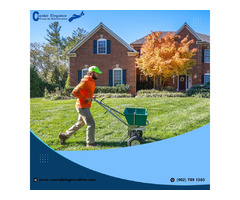 Expert Lawn Care and Landscaping Services in Halifax | free-classifieds-canada.com - 1