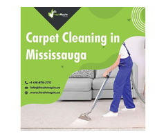 Where i can Find Professional Carpet Cleaning services in Mississauga Canada? | free-classifieds-canada.com - 1