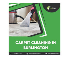 Professional Carpet Cleaner in Burlington | free-classifieds-canada.com - 1
