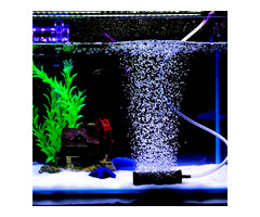 Noise Reduction Techniques for Air Stones: Enjoying a Peaceful Aquarium Environment | free-classifieds-canada.com - 1