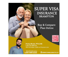 Secure Their Future: Super Visa Insurance | free-classifieds-canada.com - 1