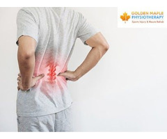 Best manual physiotherapists in Maple ridge - Golden maple physiotherapy | free-classifieds-canada.com - 1