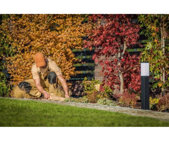Fall Lawn Care Pros In Brampton: Your Path To A Stunning Yard | free-classifieds-canada.com - 1