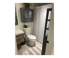 Recently Renovated 1 Bedroom in Craigleith Available for Ski Season | free-classifieds-canada.com - 3