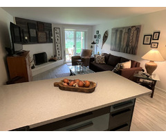 Recently Renovated 1 Bedroom in Craigleith Available for Ski Season | free-classifieds-canada.com - 6
