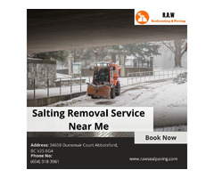 Expert Salting Removal Services Near Me: Your Winter Solution | free-classifieds-canada.com - 1