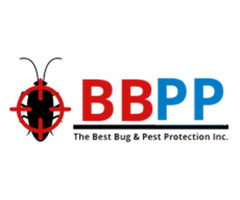 Effective Mice & Mouse Removal King City - B.B.P.P. | free-classifieds-canada.com - 1