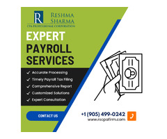 Seamless Payroll Services from RSCPA Firm | free-classifieds-canada.com - 1