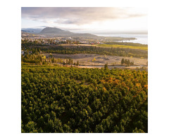 Houses for sale in Okanagan's booming property market | free-classifieds-canada.com - 2