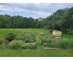 Opportunity Available for Work on Hobby Farm | free-classifieds-canada.com - 1