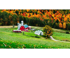 Opportunity Available for Work on Hobby Farm | free-classifieds-canada.com - 2