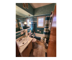 Bathroom Remodel - Tub to Shower Conversion | free-classifieds-canada.com - 1