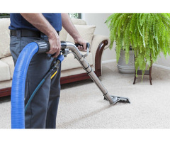 Replacing Rug After Water Damage: What Does Expert Rug Cleaners in Toronto Say About This | free-classifieds-canada.com - 1