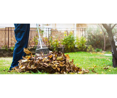 Seasons360: Revitalize Your Landscape with Expert Spring Cleanup & Snow Removal | free-classifieds-canada.com - 2