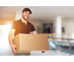 Things That Should Be Delivered Via Same Day Courier GTA Service | free-classifieds-canada.com - 1