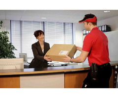 Partner With a Professional Courier Service in Vaughan | free-classifieds-canada.com - 1