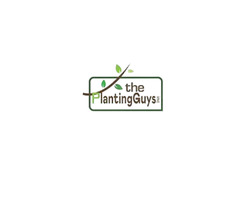 Fall Clean Up in Caledon | The Planting Guys | free-classifieds-canada.com - 1