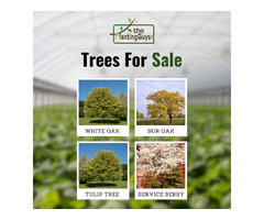 Fall Clean Up in Caledon | The Planting Guys | free-classifieds-canada.com - 2
