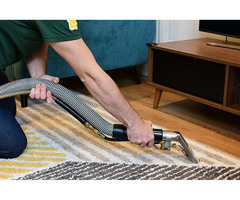 Carpet Cleaning After Mold Damage: Know the Basics | free-classifieds-canada.com - 1