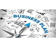 Bluesky Business Development Corp | free-classifieds-canada.com - 3