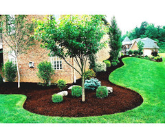 Renewed Landscapes Inc | Tree Service in Charlottetown PE | free-classifieds-canada.com - 1