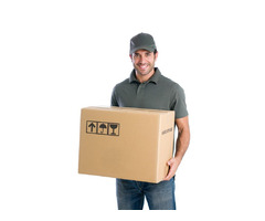 Reliable GTA Couriers - Fast, Secure & Efficient Delivery Services | free-classifieds-canada.com - 1