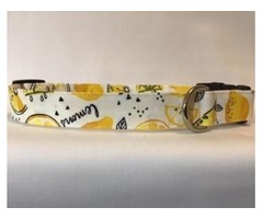Hand-crafted dog collars. Made in Canada | free-classifieds-canada.com - 3