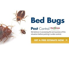 Bed Bugs Exterminator Toronto Services - Pest R Gone | free-classifieds-canada.com - 2
