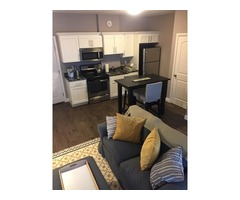 Superb And Furnushed Bachelor's Apt For Rent | free-classifieds-canada.com - 1