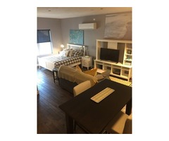 Superb And Furnushed Bachelor's Apt For Rent | free-classifieds-canada.com - 4
