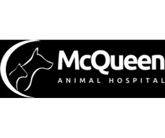 McQueen Animal Hospital Brampton | free-classifieds-canada.com - 1