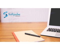 eCommerce Development Services | Website Design | Softpulse Infotech | free-classifieds-canada.com - 1