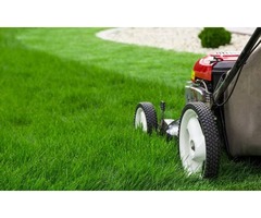 Best Lawn Care Services - Oakville | Dependable Lawn Care | free-classifieds-canada.com - 1