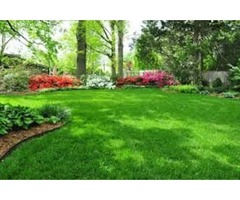 Spring- Yard Clean Up Services | Lawn Repair Service | free-classifieds-canada.com - 1