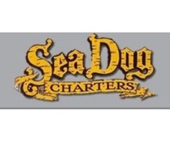 Sea Dog Fishing Charters Marathon | free-classifieds-canada.com - 1