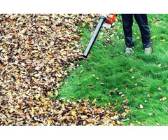 Best Yard Clean Up Services | Lawn Repair Service | free-classifieds-canada.com - 1