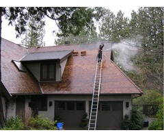 Roof Cleaning and Moss Removal Vancouver | free-classifieds-canada.com - 1