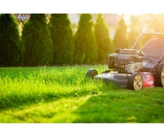 Best Lawn Care Services-Dependable Lawn | free-classifieds-canada.com - 1