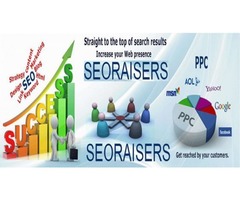 Seoraisers -  SEO Company in Toronto | free-classifieds-canada.com - 3