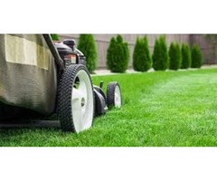 Best Lawn Care Service - Mississauga | free-classifieds-canada.com - 1