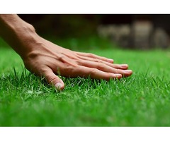 Best Lawn Care Service – Dependable Lawn | free-classifieds-canada.com - 1