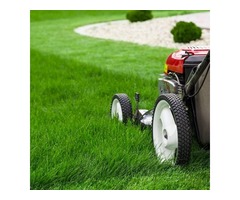 Lawn Care St Catharines | free-classifieds-canada.com - 1