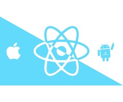  React Native Is The Best Investment Option For Entrepreneurs! | free-classifieds-canada.com - 1