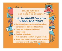 In Home Math-English-Science Online Classes  Best Tutors.$100/Mo | free-classifieds-canada.com - 2