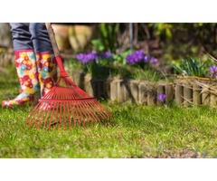Spring Yard Clean Up - Dependable Lawn Care | free-classifieds-canada.com - 1