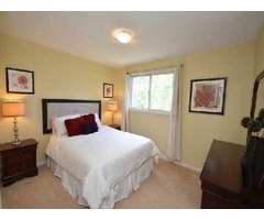 Fantastic Fully Updated For Growing Family Home | free-classifieds-canada.com - 1